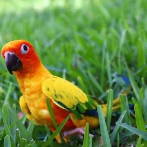 Meet your Posher, Allyssa